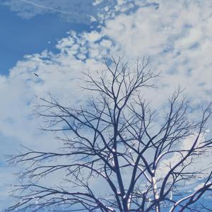 工地里的同志第3季免费观看
